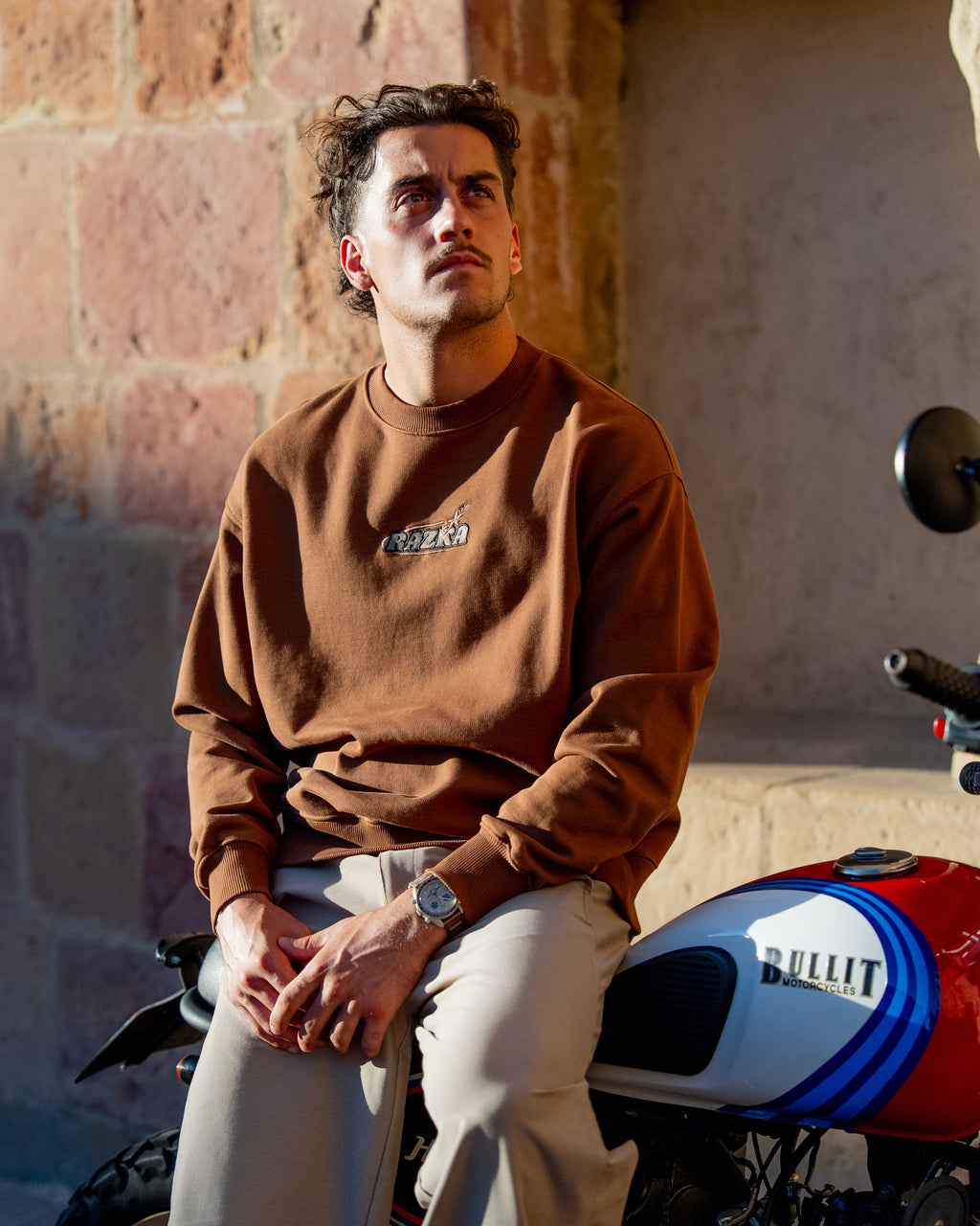 Pull OVERSIZE OLD LOGO - MARRON